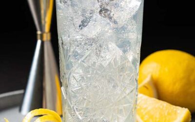Top cocktails med gin