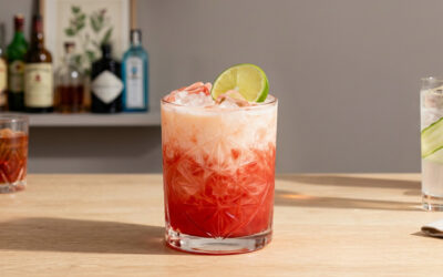 Cocktails med issmag