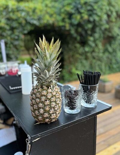 Frisk ananas til udendørs bar